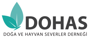 duyurular dohas doga ve hayvan severler dernegi